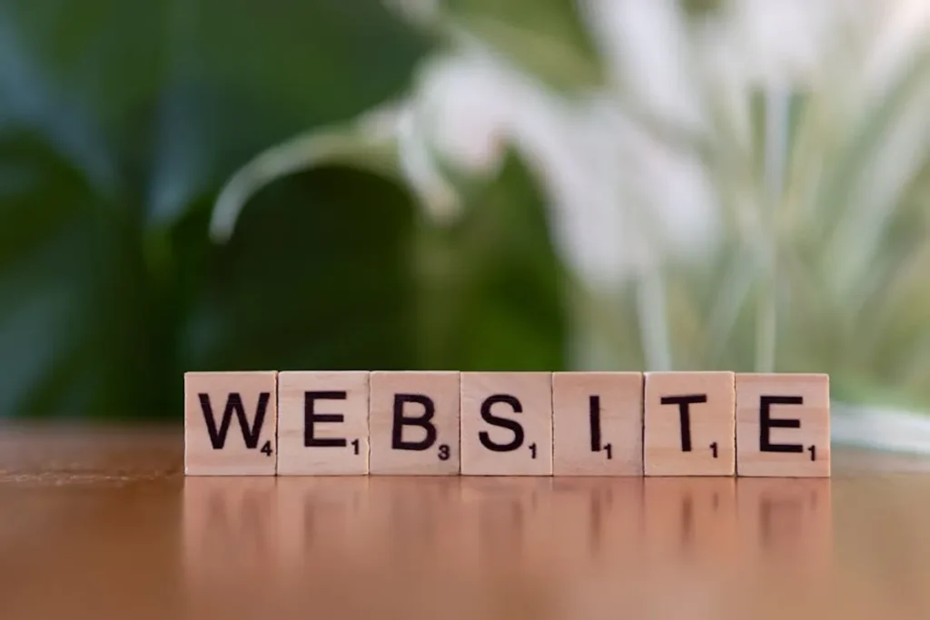 Check a Website SEO: On-Page, Technical, and Ranking Checks